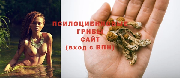мдма Переславль-Залесский